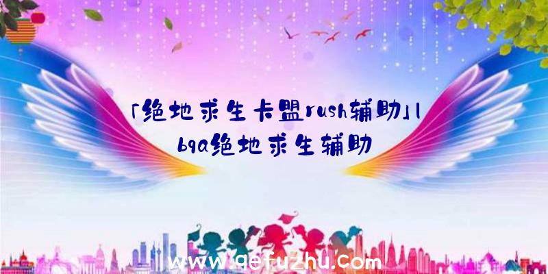 「绝地求生卡盟rush辅助」|bqa绝地求生辅助